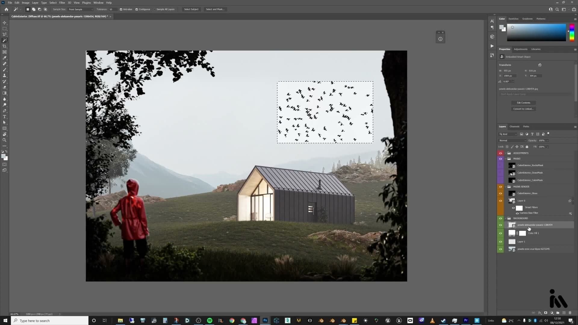 Magic wand selects the sky, inverted to mask the birds in one click.
