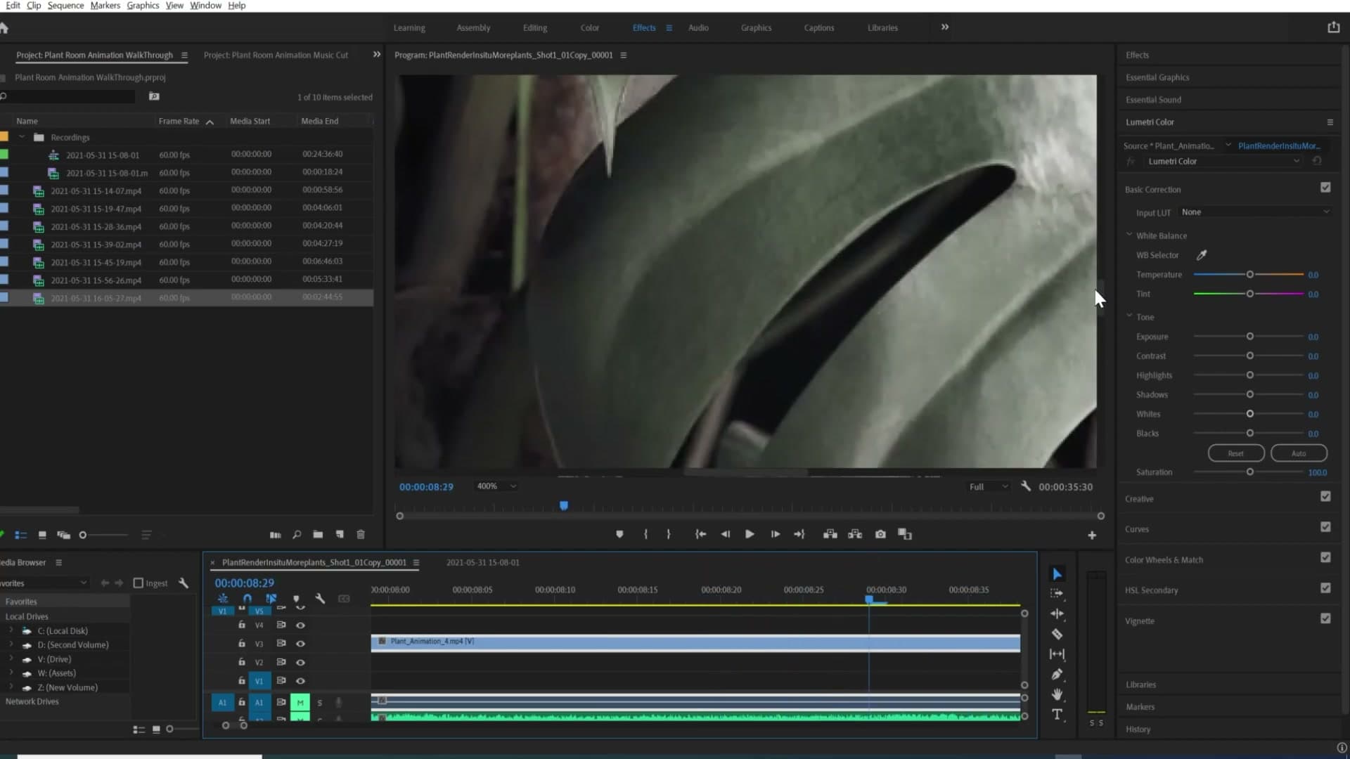1920x1920 frame at 600+ samples, leaf veins stable between frames
