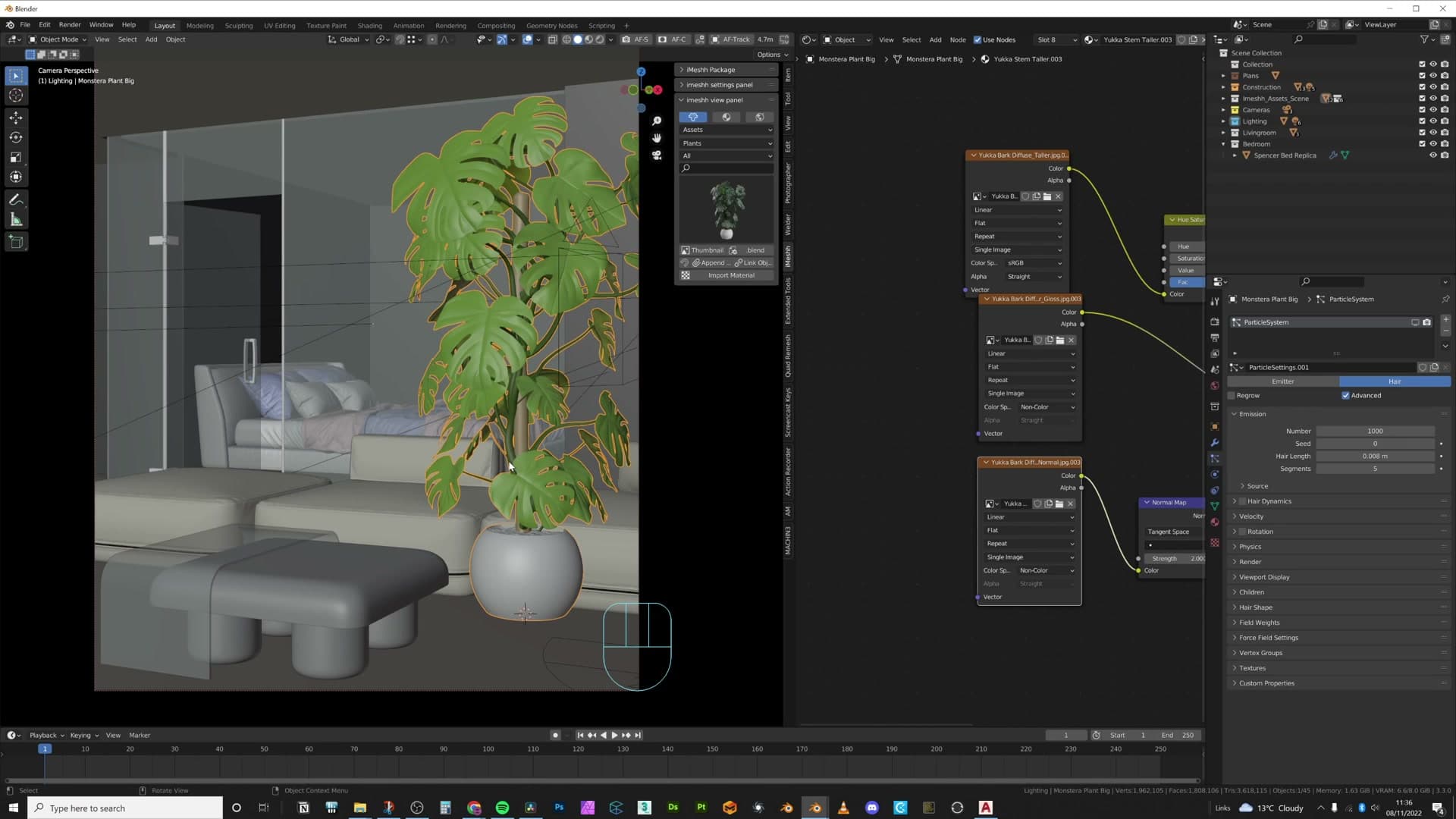 Monstera placed flush to the back wall, foliage leading off-camera to add depth.