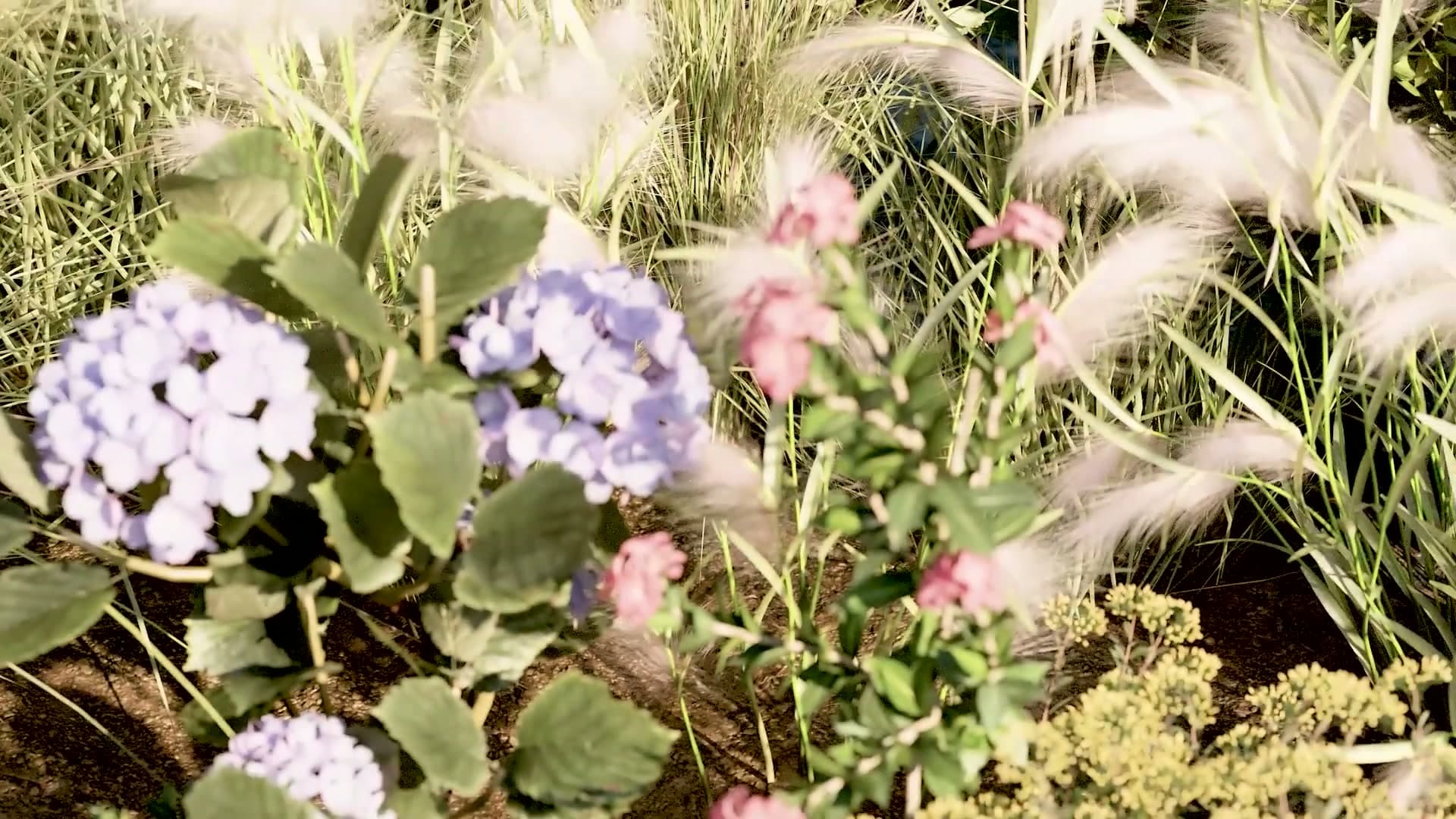 The finished garden scene with handheld camera motion that prompted the tutorial.