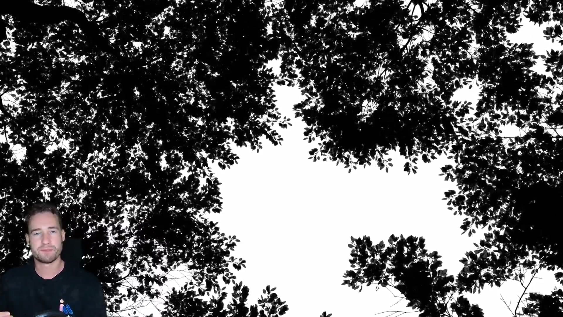 The animated tree gobo has crisp leaf edges and per-leaf opacity variation. You can soften it later, but you can't recover sharpness from a pre-blurred source.