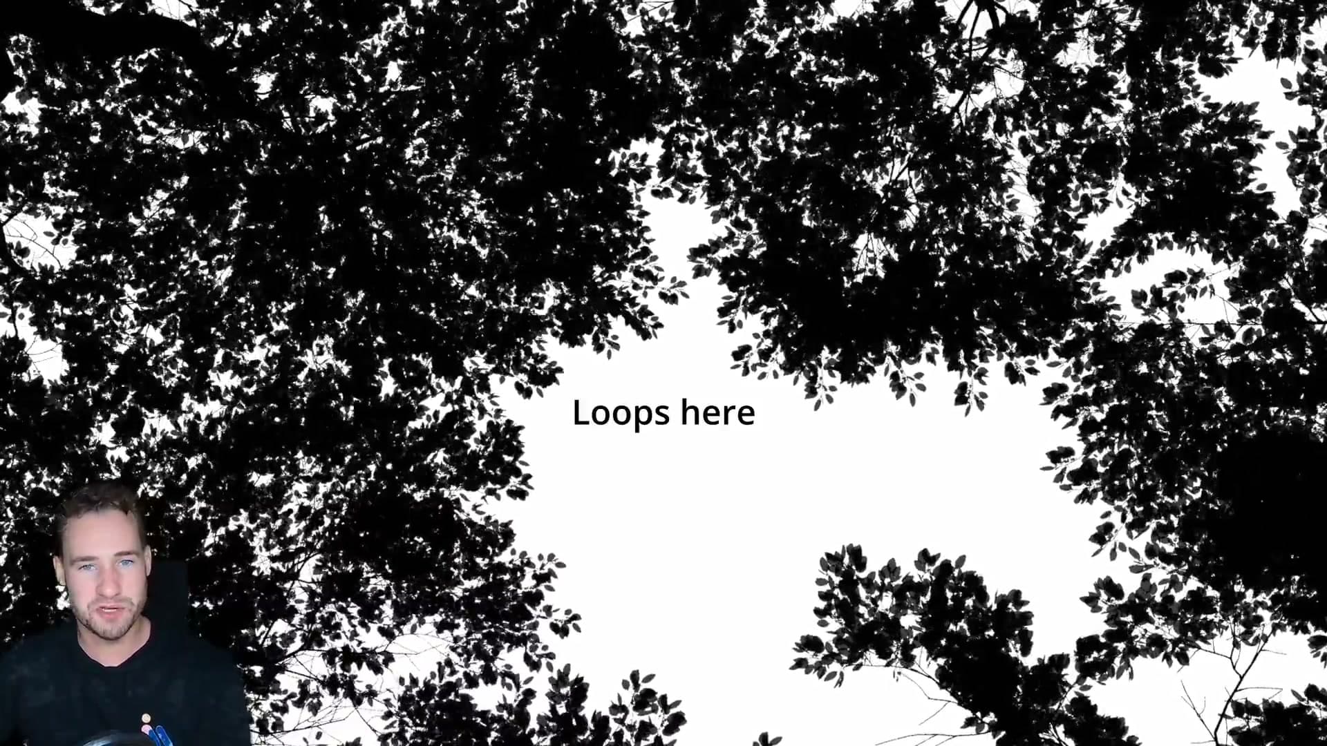 The loop is intentionally generic. No one branch performs a hero motion, so the join stays invisible when the clip restarts.