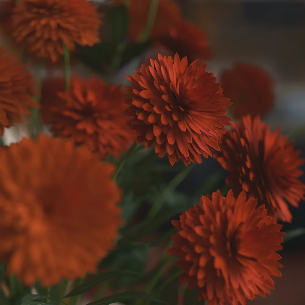 Close-up of red dahlia flowers path traced in the browser with shallow depth of field, from the viewer's built-in sample model